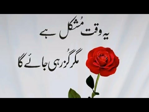 Boost Your Immunity Fight Coronavirus||Covid-19: How can control the outbreak in Pakistan||