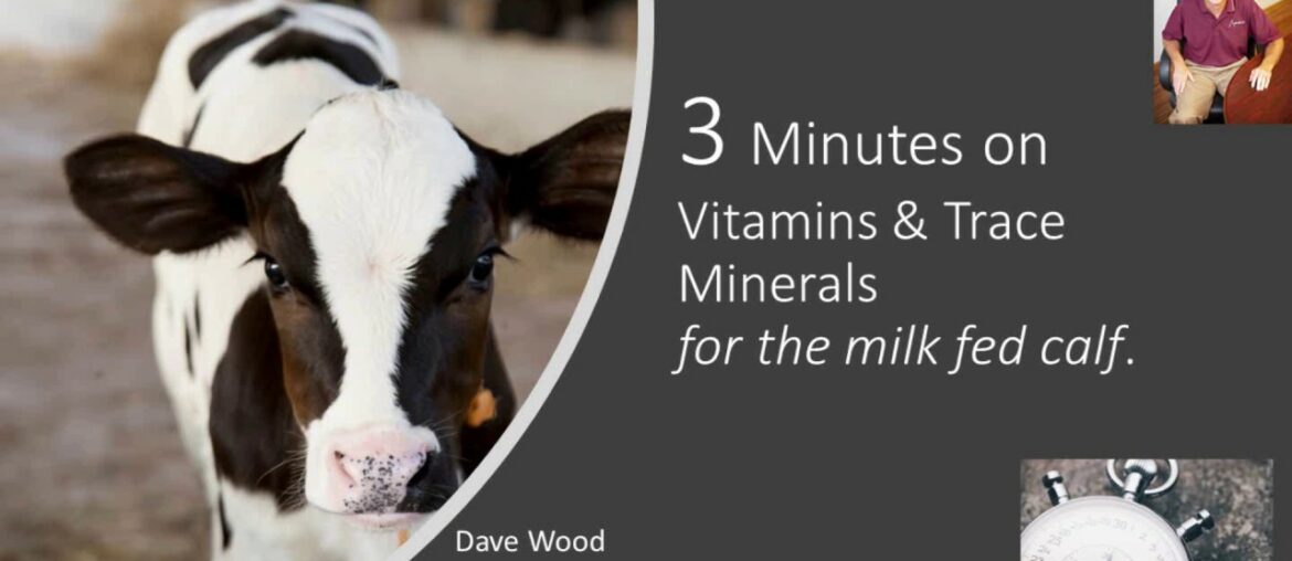 3 Minutes on Vitamin and Trace Minerals for the Milk Fed Calf