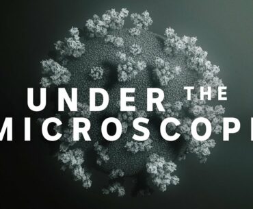 Coronavirus: Under the microscope | ABC News