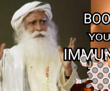 #coronavirus                                         Boost your immunity |sadhguru| on Corona virus|
