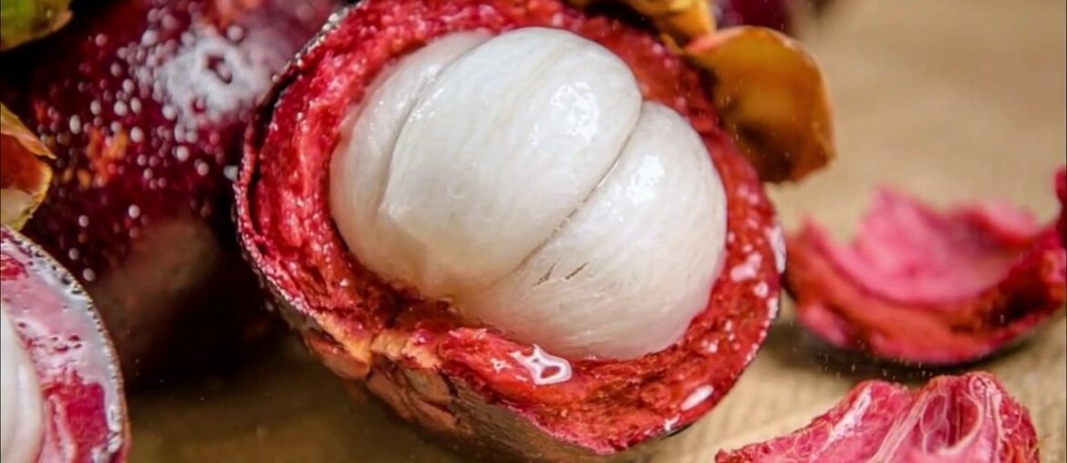 3 Rare and Powerful Plants That Will Help Fight Against Covid-19 and Boost Immune System