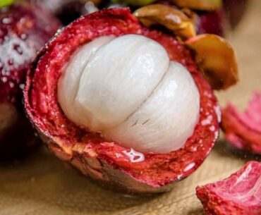 3 Rare and Powerful Plants That Will Help Fight Against Covid-19 and Boost Immune System