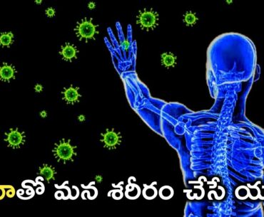 Corona Virus Vs Immune System | Immune System Explained in Telugu | Corona Virus in Telugu
