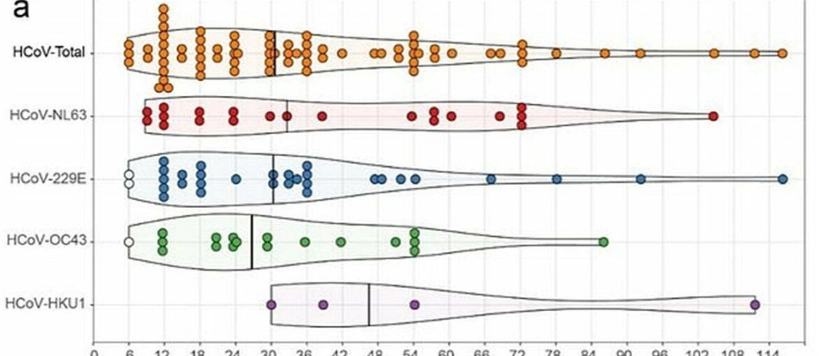 Covid-19 immunity may last just six months, study finds