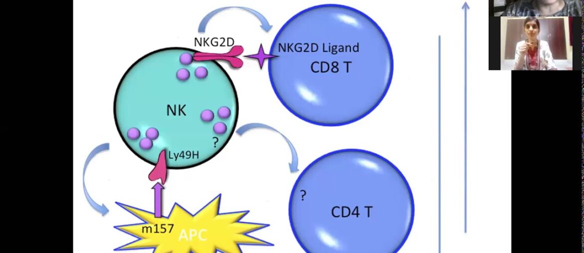 sudarshan kriya research evidence increasing body immunity in covid 19 crisis