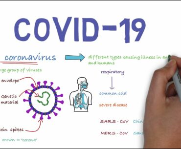 Coronavirus disease (COVID-19)