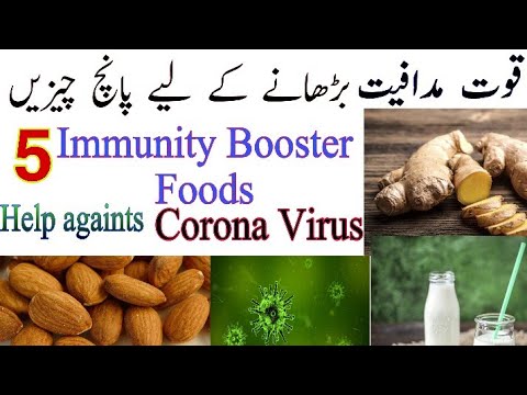 5 immunity booster foods |immune system booster |Foods help against Corona virus|Health Tuition