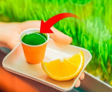 This Vitamin Packed Juice Shot Will Boost Your Health