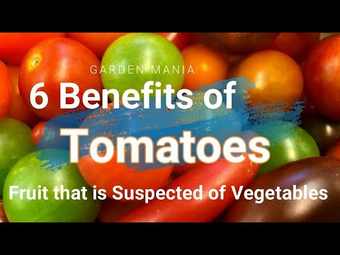 6 Benefits Of Tomatoes
