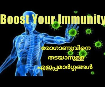 How To Boost Immune System /#/ Top Immunity Boosting Foods/#/ Malayalam /#/ Anju'S Corner/#/