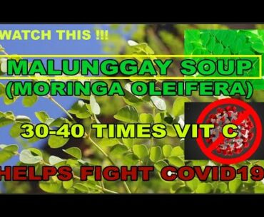 Malunggay soup (Moringa oleifera) helps boost immune system to fight covid19
