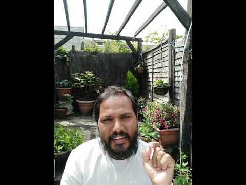 Diet for Better Immunity Boosting during Corona Virus Pandemic
