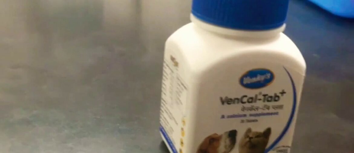 Vitamins VenCal_Tab+ A Calcium Supplement Tablet for Dogs & Cats