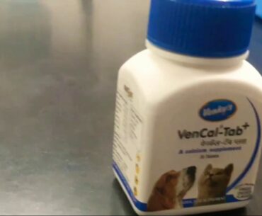Vitamins VenCal_Tab+ A Calcium Supplement Tablet for Dogs & Cats