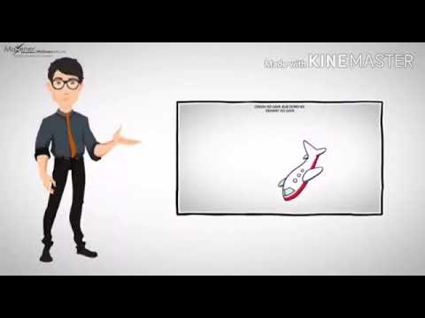 Why Maxener Wellness