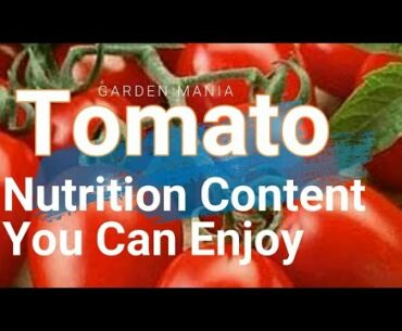 Tomato Nutrition Content You Can Enjoy