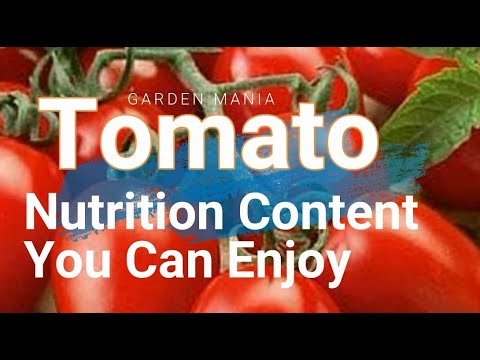 Tomato Nutrition Content You Can Enjoy