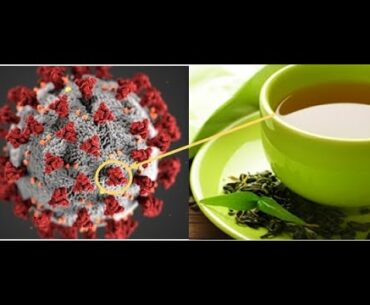 Covid-19: 10 Plants That Will Boost your Immune System