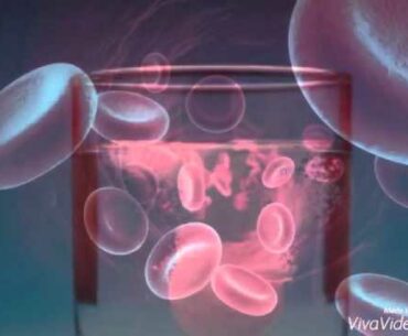 Nutrition vitamin/mineral project