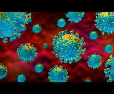 Flu Vs. COVID-19 - Importance of Your Immune System