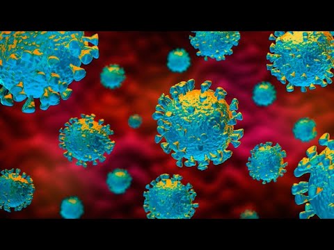 Flu Vs. COVID-19 - Importance of Your Immune System