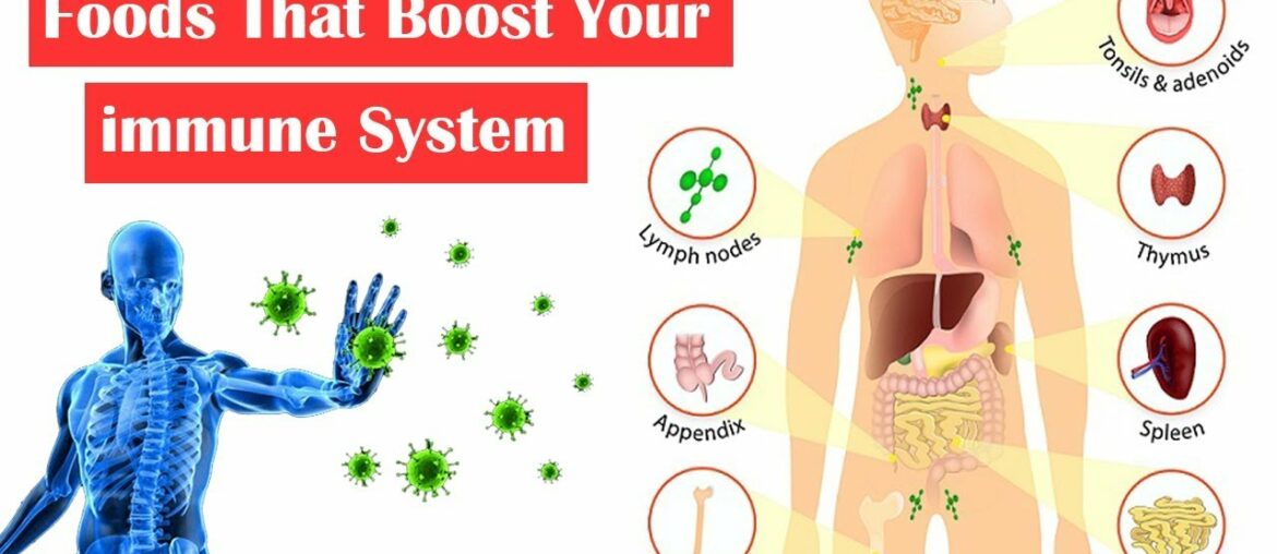 Foods That Boost Your Immune System || How to Boost Immune System Naturally