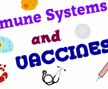 Breakthrough Junior Challenge 2020 | Immune Systems and Vaccines #breakthroughjuniorchallenge