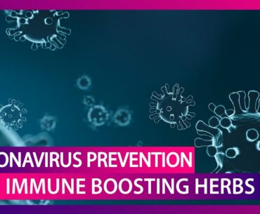 Coronavirus Prevention: Antivirals & Herbs To Boost Immunity And Combat COVID-19