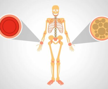 Flex-K2: What are the main benefits of Vitamin K2 Supplements?