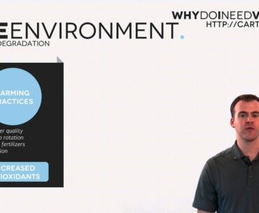 The Environment: Another Reason for Why You Need To Use Vitamin Supplements