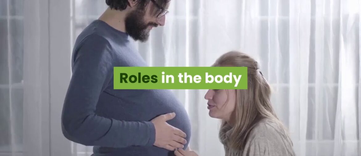 Vitamin Guide: No 4 Vitamin B3 or PP or Niacin