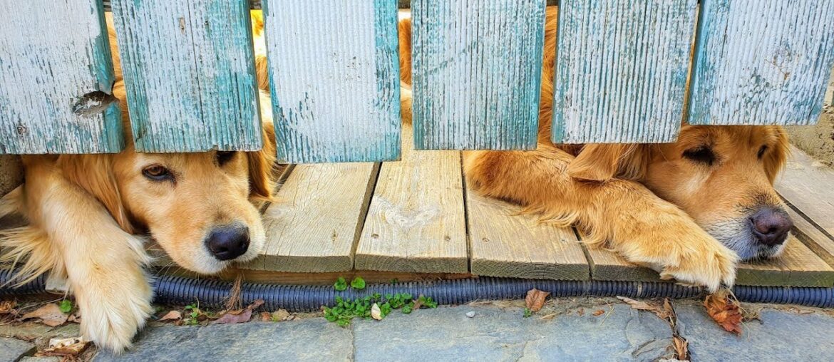 Spending a day at my hideout place along Han River away from crowds in Korea during #COVID19