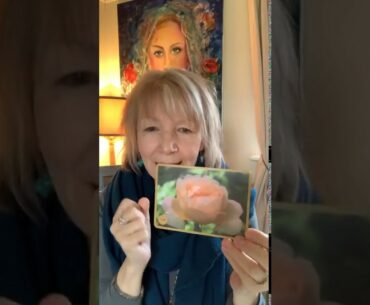 Clearing fear around Covid-19 and optimising your immune system with the Roses