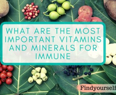 What are the most important vitamins and minerals for immune