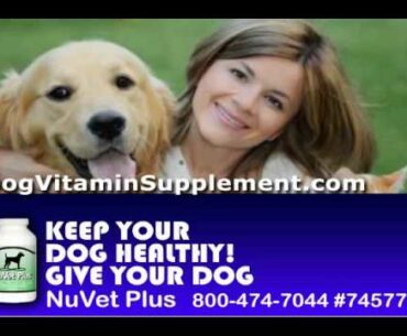 Keep Your Dog Healthy | Dog Vitamin Supplement