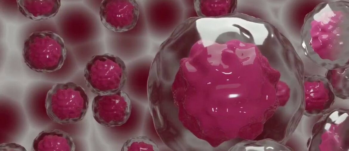 BOOSTING YOUR IMMUNE SYSTEM AGAINST CORONAVIRUS: HOW TO MINIMIZE THE RISK OF INFECTION?