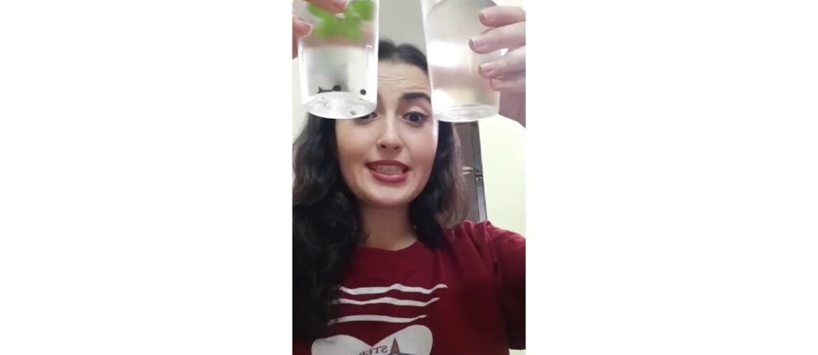 2 Indian ways to boost your Immune System naturally before you get sick