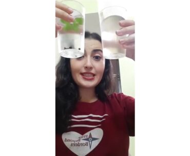 2 Indian ways to boost your Immune System naturally before you get sick