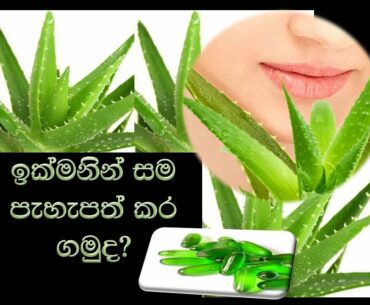 Aloe Vera & Vitamin E for  Whitening Skin