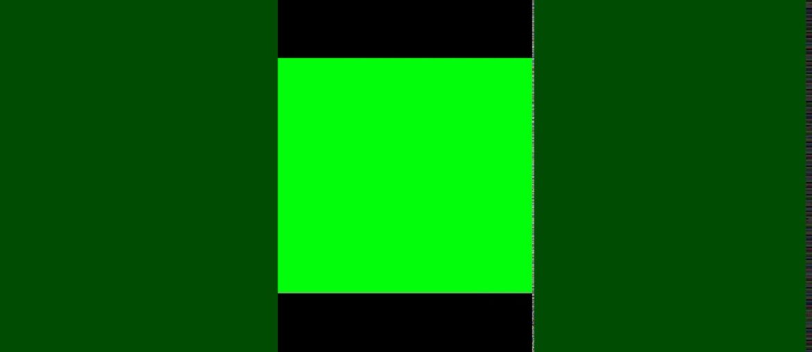 DESCRIPTION OF VITAMIN C