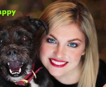 Supplements for Dogs Health and for Pet Health