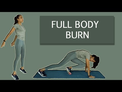 No Jumping HIIT Workout | FULL BODY BURN | Cardio Workout at Home | No Noise | Beginner Workout |