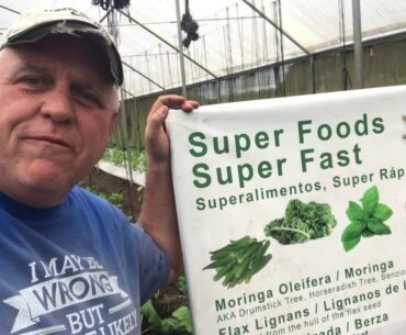 Coronavirus Immune System Super Charge!