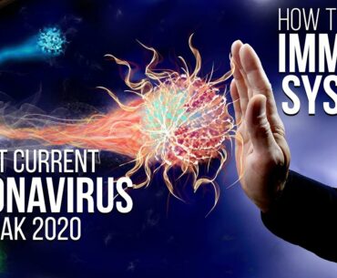 How to Boost Immune System During Coronavirus (COVID-19) 2020 Outbreak