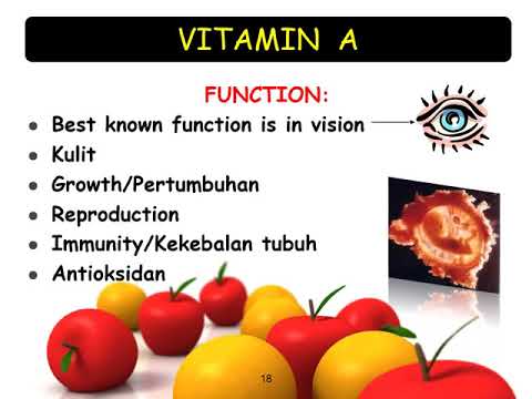 Fundamental of Nutrition - Vitamin Larut Lemak
