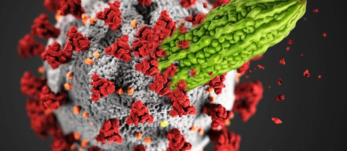 3 Powerful Plants That Will Help Fight Against Covid-19