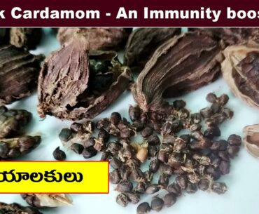 Black Cardamom - An immunity booster!