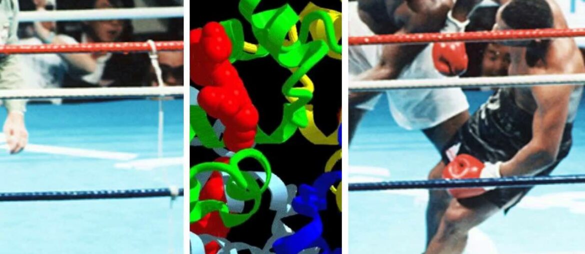 Nutrition Rap for Vitamin B6 - At SMSU