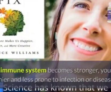 What is  indicators of a weak immune system?-- Proven Plus Review
