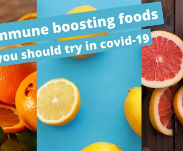 15 Foods That Boost the Immune System You Should Try In Covid-19| Crofty Trends